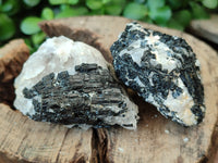 Natural Black Tourmaline On Quartz Matrix Specimens x 12 From Zimbabwe