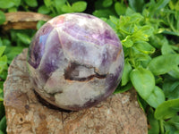 Polished Chevron Amethyst Spheres x 2 From Madagascar