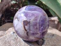 Polished Chevron Amethyst Spheres x 2 From Madagascar