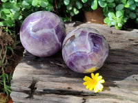 Polished Chevron Amethyst Spheres x 2 From Madagascar