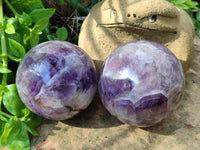 Polished Chevron Amethyst Spheres x 2 From Madagascar