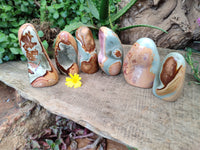 Polished Polychrome Jasper Standing Free Forms x 6 From Madagascar