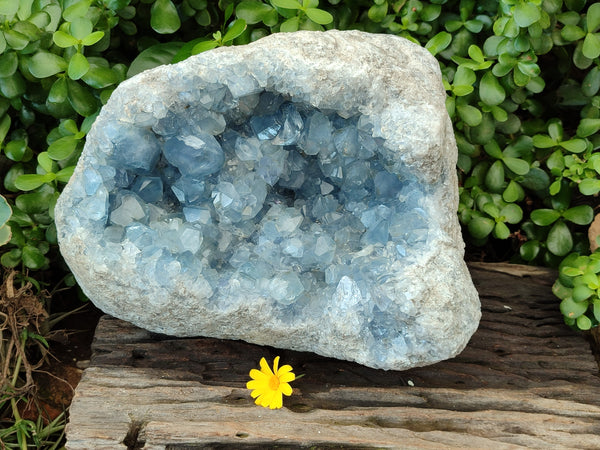 Natural Celestite Geode Specimen x 1 From Sakoany, Madagascar