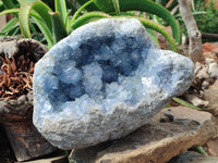 Natural Celestite Geode Specimen x 1 From Sakoany, Madagascar