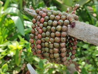 Polished Unakite Beaded Stretch Buddha Bracelet - Sold Per Item - From South Africa