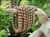 Polished Unakite Beaded Stretch Buddha Bracelet - Sold Per Item - From South Africa