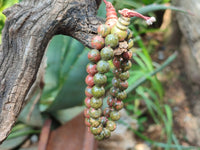 Polished Unakite Beaded Stretch Buddha Bracelet - Sold Per Item - From South Africa