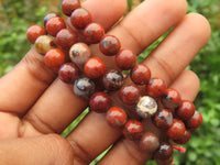 Polished Brecciated Red Jasper Beaded Stretch Buddha Bracelet - Sold Per Item - From South Africa