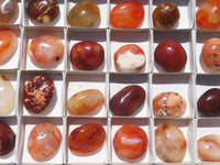 Polished Carnelian Palm Stones x 24 From Madagascar