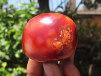 Polished Carnelian Palm Stones x 24 From Madagascar