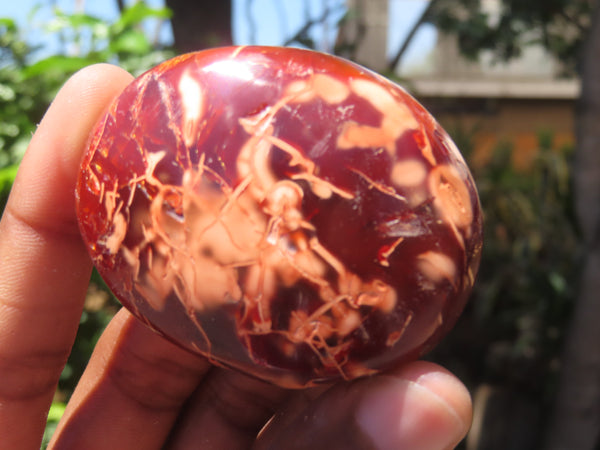 Polished Carnelian Palm Stones x 24 From Madagascar