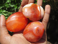 Polished Carnelian Palm Stones x 24 From Madagascar