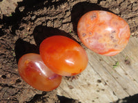 Polished Carnelian Palm Stones x 24 From Madagascar