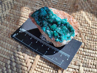 Natural Dioptase On Dolomite Specimens x 6 From Likasi, Congo