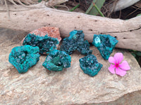 Natural Dioptase On Dolomite Specimens x 6 From Likasi, Congo