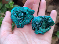 Natural Dioptase On Dolomite Specimens x 6 From Likasi, Congo