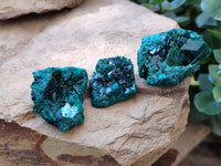 Natural Dioptase On Dolomite Specimens x 6 From Likasi, Congo