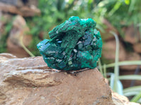 Natural Dioptase On Dolomite Specimens x 6 From Likasi, Congo