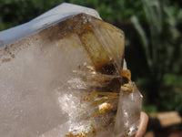 Polished Smokey Window Quartz Crystal x 1 From Madagascar