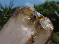 Polished Smokey Window Quartz Crystal x 1 From Madagascar