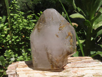 Polished Smokey Window Quartz Crystal x 1 From Madagascar