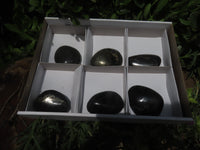 Polished Pharaoh Stone Free Forms x 6 From Zimbabwe