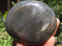 Polished Pharaoh Stone Free Forms x 6 From Zimbabwe