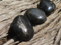 Polished Pharaoh Stone Free Forms x 6 From Zimbabwe