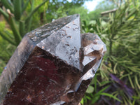 Natural Double Terminated Smokey Quartz Crystals x 2 From Malawi