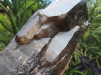 Natural Double Terminated Smokey Quartz Crystals x 2 From Malawi