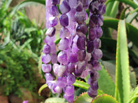 Polished Amethyst Tumble Chip Beaded Necklace - Sold per Item- From Zambia