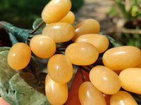 Polished Honey Aragonite Hanging Bunch of Grapes with Green Fuchsite Leaves - sold per item - From Namibia