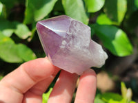 Natural Jacaranda Amethyst Crystals x 12 From Zambia