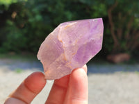 Natural Jacaranda Amethyst Crystals x 12 From Zambia