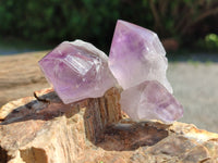 Natural Jacaranda Amethyst Crystals x 12 From Zambia