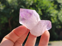 Natural Jacaranda Amethyst Crystals x 12 From Zambia