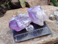 Natural Jacaranda Amethyst Crystals x 12 From Zambia