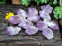 Natural Jacaranda Amethyst Crystals x 12 From Zambia