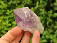 Natural Jacaranda Amethyst Crystals x 12 From Zambia