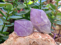 Natural Jacaranda Amethyst Crystals x 12 From Zambia