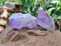 Natural Jacaranda Amethyst Crystals x 12 From Zambia