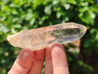 Natural Clear Quartz Crystals x 32 From Zimbabwe