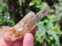 Natural Clear Quartz Crystals x 32 From Zimbabwe