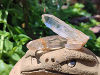 Natural Clear Quartz Crystals x 32 From Zimbabwe