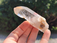 Natural Clear Quartz Crystals x 32 From Zimbabwe