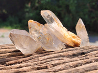 Natural Clear Quartz Crystals x 32 From Zimbabwe