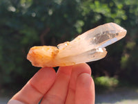 Natural Clear Quartz Crystals x 32 From Zimbabwe