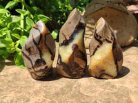 Polished Septerye Flame Sculptures x 6 From Madagascar