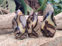 Polished Septerye Flame Sculptures x 6 From Madagascar