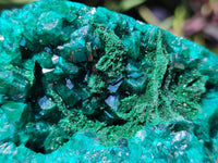 Natural Dioptase On Dolomite Specimens x 2 From Likasi, Congo